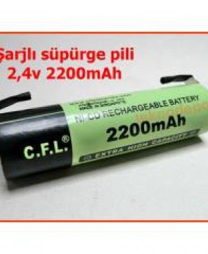 CFL 2.4V 2400 MAH 2Lİ DİK PİL